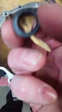 How to install oil seal on a dirt bike crank case