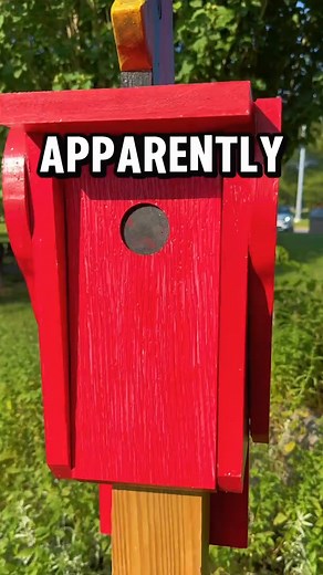 1.6K views · 19 reactions | Can you guess who the President of the Bird Watching club is based on the description? #Geocaching #CacheMeIfYouCan #Hullsome | Linda Hawkyard | Facebook