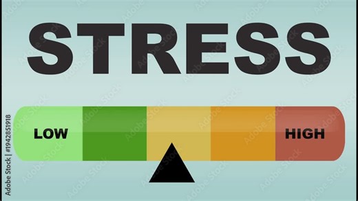 Risk level indicator scale. Low normal high stress meter infographic animation