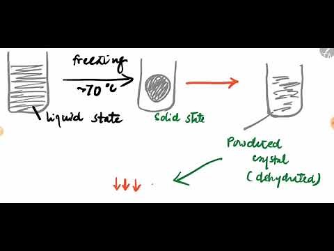 Microbiology , LYOPHILIZATION Techniques