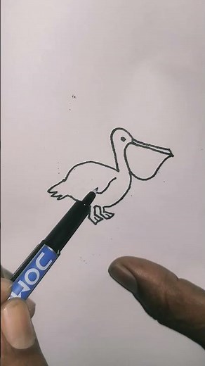 Easy Pelican Drawing 🐦 | Step by Step for Beginners