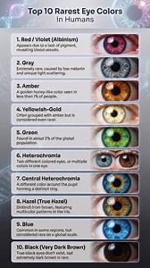 Top 10 Rarest Eye Colors in Humans 🌍 Eye color is determined by genetics and light reflection and some colors are so rare that only a tiny fraction of the world’s population has them 👇 1️⃣ Green – Found in about 2% of the global population 2️⃣ Gray – Extremely rare, caused by low melanin and unique light scattering 3️⃣ Amber – A golden honey-like color seen in less than 1% of people 4️⃣ Red / Violet (Albinism) – Appears due to lack of pigment, revealing blood vessels 5️⃣ Heterochromia – Two di