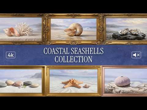 Coastal Seashells Collection | 4K Frame TV Art | No Music