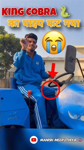 King Cobra 🐍 का बहुत नुकसान हो गया 😭 Rohit deswal 🔥 MANISH MEERUTHIYA 🇬🇧 #shorts #viral #nishudaswal