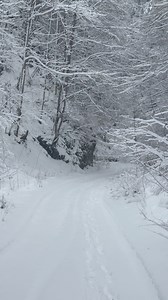 Regatul de gheata ❄️ | Odaia Cu Povesti