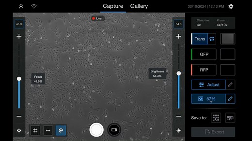 EVOS M3000 Imaging System confluency tool - Scientific Videos | Thermo Fisher Scientific US