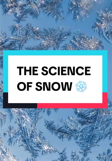 How do snowflakes form — and what gives them their shape? ❄️ Let’s break down the science of snow, because weather is cooler when you understand it 😉 What explainer should I do next? Share with your snow-loving friends! #ScienceExplainer #Snow #WeatherFacts #WeatherWithBelen #BelenDeLeon