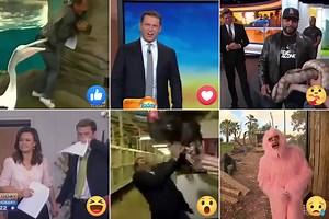 To celebrate our 40th birthday, we're taking a look back at some of the FUNNIEST moments from over the years. Which one of these iconic animal moments is your favourite? Make sure to tune in Friday 1st of July for our birthday SPECIAL EDITION of Today! #TodayTurns40 #9Today | TODAY