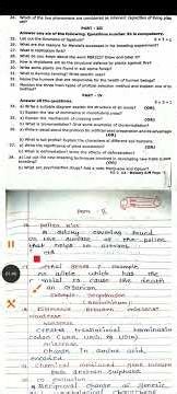 12th std Botany Half yearly Exam December-2025 Original Question paper Pure Science 12th Botany EM-1