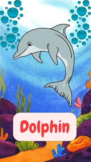 Let’s learn sea Animals 🐠 Fun Family learning song | The curious Cube kid