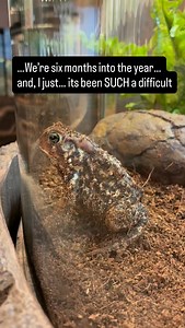 423 reactions · 57 shares | WHAT!?! Well, since we have some time...