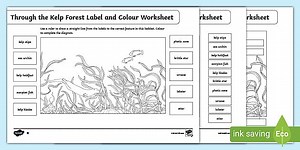 Through the Kelp Forest Label and Colour Worksheet