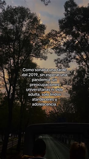 Recuerdos de 2019: Vibras y Atardeceres Nostálgicos