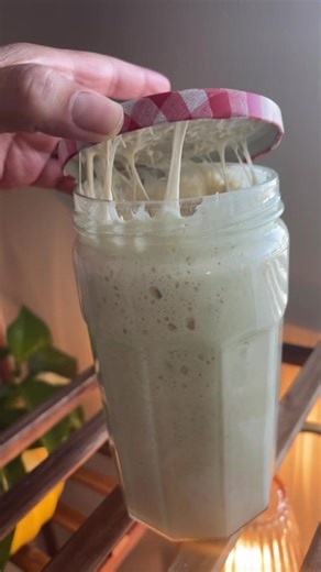 Brisaaa has risen!!!!!! 🤪😁 #dailyrisenlivingbread #masamadre #sourdoughstarter #sourdoughstarterfeeding #odlysatisfying