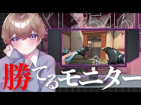 【最強モニター】日本トッププレイヤーが使用しているモニターを紹介します！【VALORANT】