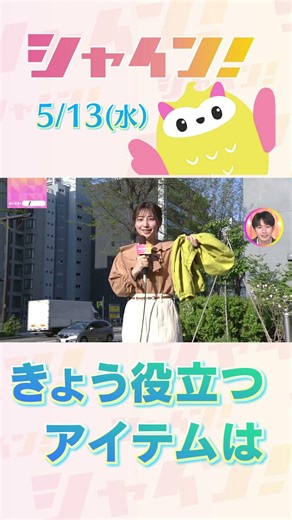 STV『シャイン！』竹井愛乃の１pick きょう必要なものは？ #shorts #stv #シャイン！ #竹井愛乃
