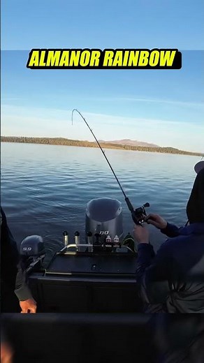 The Junior Optimizer Spoon Strikes AGAIN on Lake Almanor!