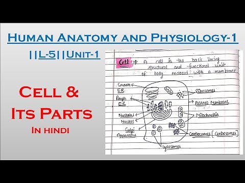 Cell & its Parts || Human anatomy and physiology-1||L-5||Unit-1|| B.pharma 1st sem |explain in hindi