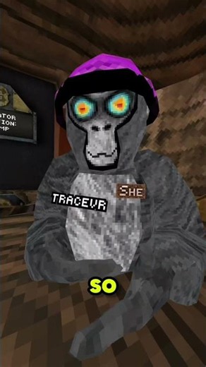 thx shadow #gorillatag #gorillatagquest #vr #gtag #funny