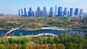 城市绿洲的秋日美景，秋日的郑州之林美景一览无余