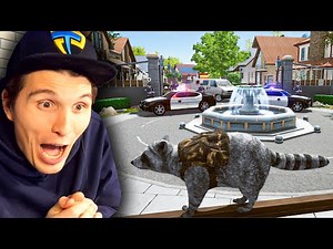 Der WASCHBÄR Simulator