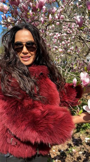 Spring Stroll Through Central Park NYC