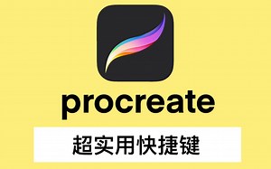 【procreate】超实用快捷键