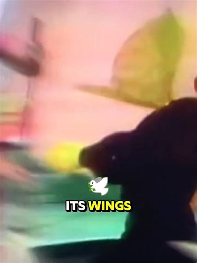 10 Weird 1970s TV Shows You Totally Forgot #actor #longervideos #movie | Answered That For You