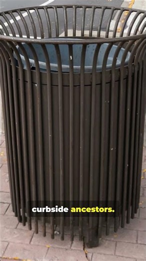 Surprising History of the Trash Can 🗑️