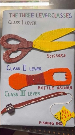 #science #sciencefacts #scienceexperiment #school #schoolproject three class levers project