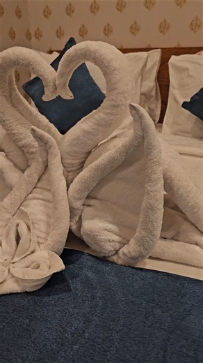 HONEYMOON SET UP #hkbedding #housekeeping #makingbed #towelart