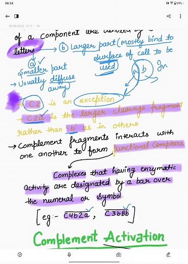 The Complement System