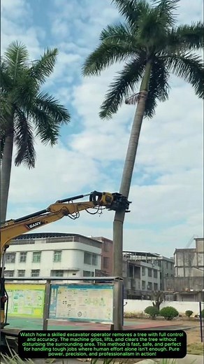Precision Tree Removal with Excavator 🌳⚙️