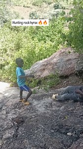 396 reactions | Hunting rock hyrax  | Poyon Comedian | Facebook