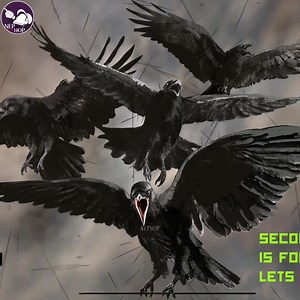 17K views · 1.4K reactions | Nawaz Ansari Dropped A #OpenVerseChallenge // La Katti  Record Your Song After Nawaz Ansari's Verse And Tag Him In Instagram With #NawazAnsariChallenge  Song Link : https://youtu.be/v-DvjoX01aQ | NEPHOP | Facebook