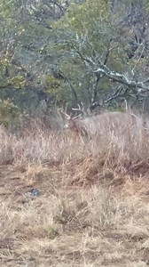 I love the spawn!!! | Jason Christie