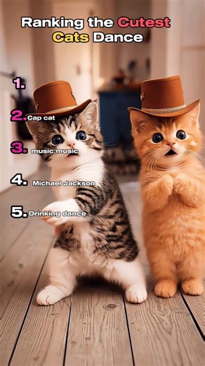 Ranking Funny Cats Dancing Compilation | Top 10 Viral Cat Dances 🐱🔥#shorts #reels