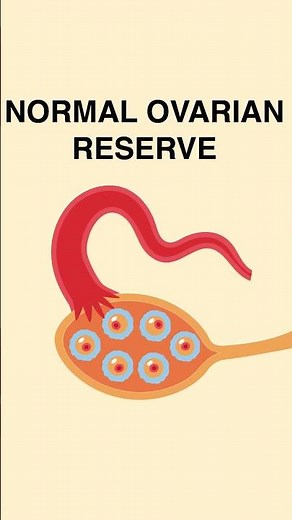 What Is An Anti-Müllerian Hormone (AMH) Test? | Dr. Vandana | GarbhaGudi IVF Centre, Bangalore