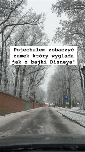 Aż trudno uwierzyć, że ten zamek znajduje się w Polsce! Zamek położony w miejscowości Gołuchów w Wielkopolsce wygląda w zimowej scenerii obłędnie. Czy wiecie jaki serial tutaj kręcono? To chyba proste, ale jestem ciekawy 😀 #polskajestpiekna | Mazurek Photographer