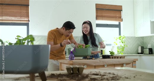 Asian couple spotting empty tray, potting seedlings in green planter at kitchen workbench