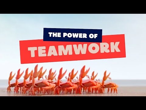 Importance of Teamwork – Short Animated Video