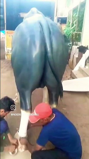 Max Packers And Movers Gurop Mangalore Karnataka Goa Ham Ha packers and movers wale☺️☺️☺️