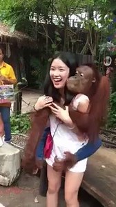 65K views · 281 reactions | :) | Best Of The Best Social Experiments | Facebook