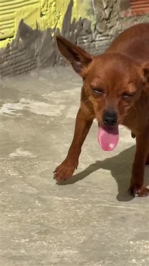 Tips for a Good Time on TikTok