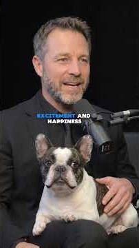 4 Signs your dog is living the best life! #frenchbulldog #dogs #frenchie #puppy #usareels