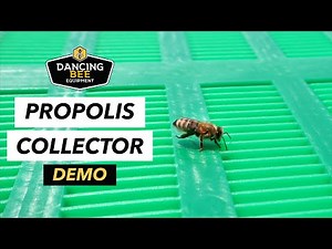 How to use a Propolis Collector