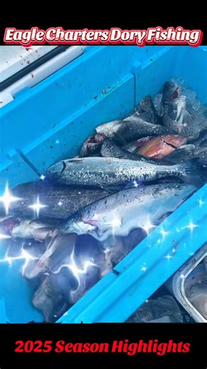 More 2025 Season Highlights🦅 #deepseafishing #pacificcityoregon #dory #eaglechartersdoryfishing #bucketlist #lingcodfishing #familytime #memories | Eagle Charters Fishing 2018