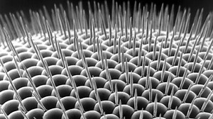 Looking at the world’s tiniest dumbbells