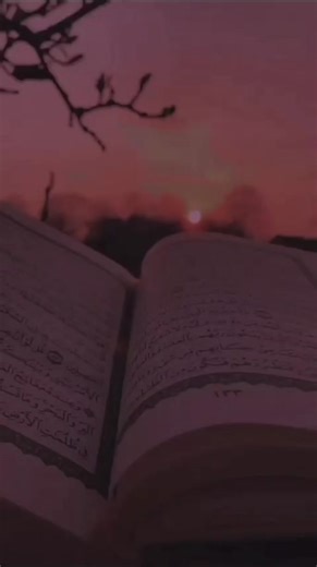 Instagram video by Shaikh Najed • Feb 16, 2026 at 12:15 PM