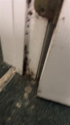 🏡 Professional Pest Control Services – Safe, Effective, and Reliable! 🦟🐜 Are pests invading your home or business? Don’t let unwanted guests disrupt your peace! Our expert pest control services ensure a clean, safe, and pest-free environment using eco-friendly and effective treatments. ✅ Comprehensive Pest Removal – Termites, cockroaches, rodents, bed bugs & more ✅ Safe for Families & Pets – Non-toxic, eco-friendly solutions ✅ Licensed & Experienced Professionals – Trusted service, guaranteed